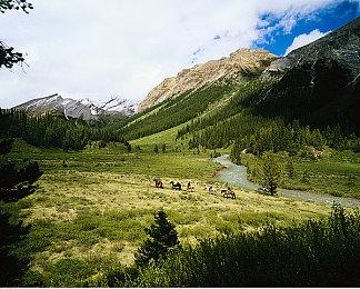 《尼克频道大乱斗》免费DLC角色《忍者神龟》反派施莱德公布