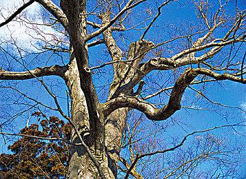 第一人称解谜《沙漏》Steam发售 获“特别好评”